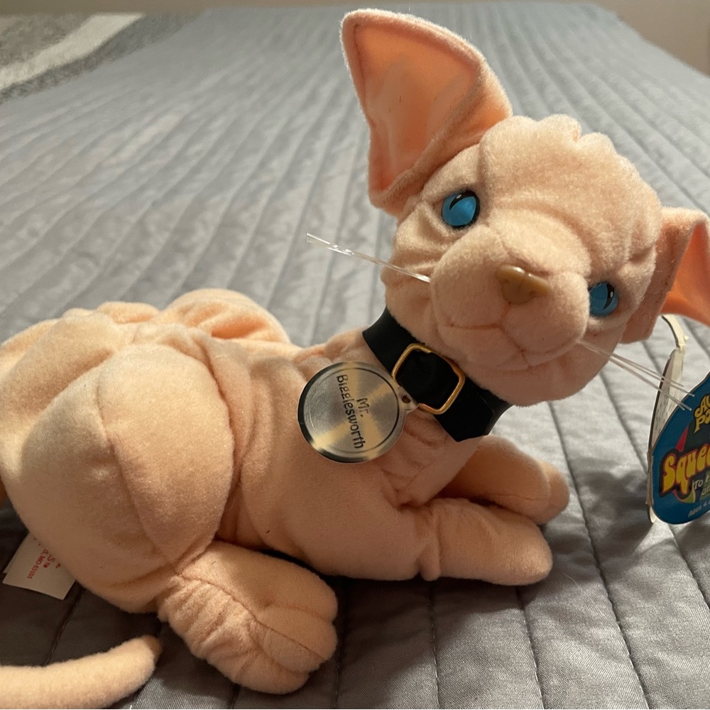 Mr. Bigglesworth